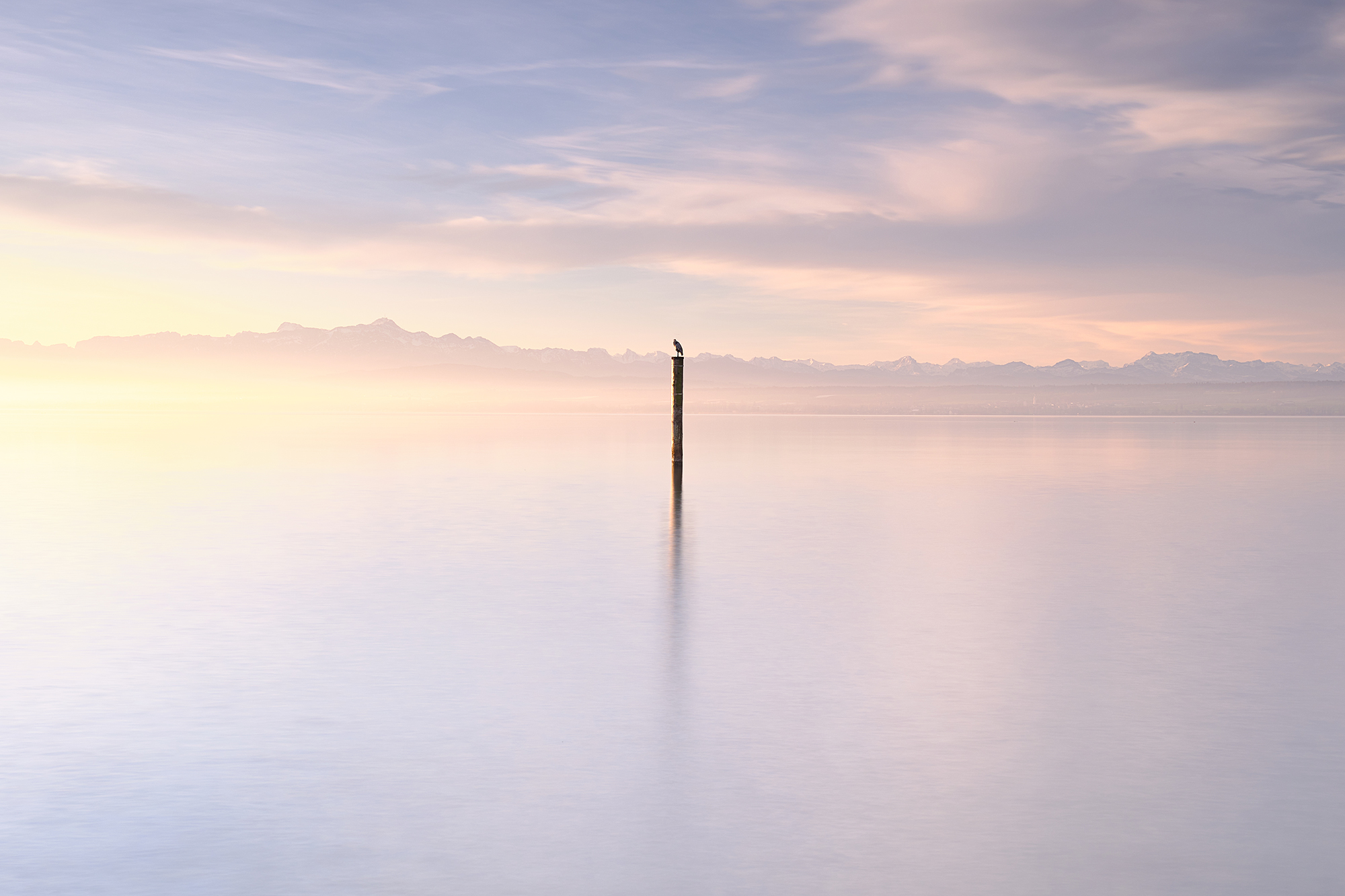 Bodensee 5